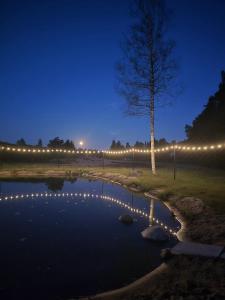 a tree with lights on it next to a pond at Mullimaja in Treimani +18 photos
