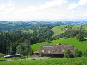 a barn on a green hill with a train in the distance at Naturfreunde in Hergiswil