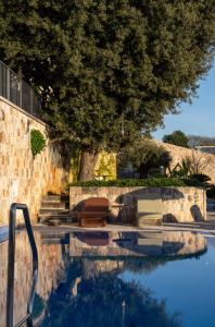a swimming pool with chairs and a tree next to it at Palace Natali in Dubrovnik +131 photos