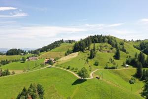 a green hill with a winding road on it at Naturfreunde in Hergiswil