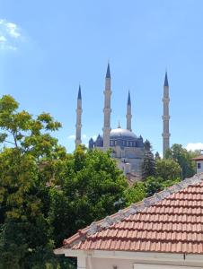 a view of a mosque with trees and roofs at Blacktree Edirne in Edirne