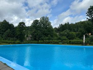 a large blue swimming pool with trees in the background at Olé in Zlatá Olešnice