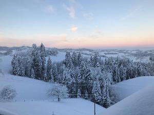 a snow covered field with trees in the distance at Naturfreunde in Hergiswil +7 photos