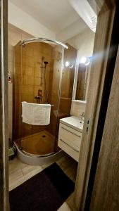 a bathroom with a shower and a sink at Residence di Raul in Porto Recanati