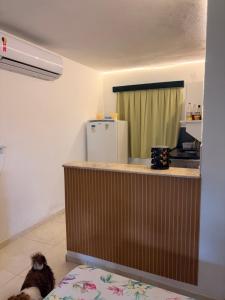 a kitchen with a counter with a dog sitting on the floor at Resort felicidade anexos in Extremóz