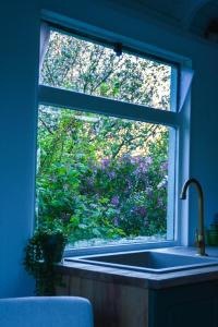 a window in a kitchen with a sink and purple flowers at Bed & Bloemen in Niebert