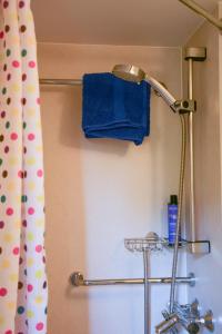 a bathroom with a shower curtain and a blue towel at Bed & Bloemen in Niebert +20 photos