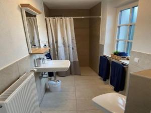 a bathroom with a sink and a shower at Rheinhessen Auszeit in Wendelsheim