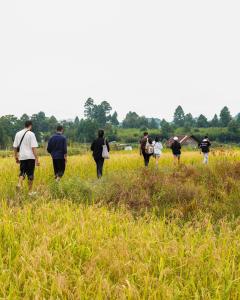 a group of people walking in a field at Camp Pineyard Ziro in Ziro +10 photos