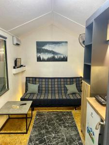a living room with a couch and a table at Scandinavia Camping in Kamennaya Gora