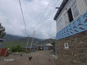 a group of chickens standing outside of a building at Elvin in Küsnǝtqazma