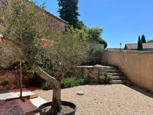 a tree in a pot next to a wall at La Maison des Sources in Édon