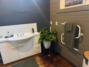 a bathroom with a sink and a potted plant at AB Accomodation in Palmerston North