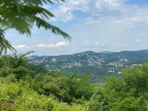 a view of a town in the hills at Chelo Guest House in Kutaisi