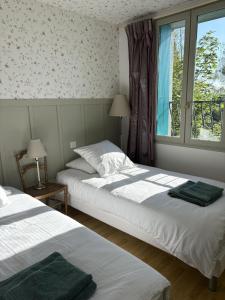 a bedroom with two beds and a window at Cottage de La Meslerie in Vernou-sur-Brenne