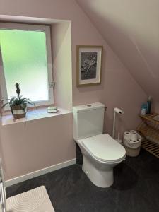 a bathroom with a toilet and a window at Cottage de La Meslerie in Vernou-sur-Brenne +33 photos