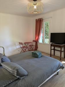 a bedroom with a bed and a flat screen tv at Cottage de La Meslerie in Vernou-sur-Brenne