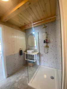 a bathroom with a shower with a sink and a mirror at Viridian Three Boathouse Unique, PERUCAC in Perućac +26 photos