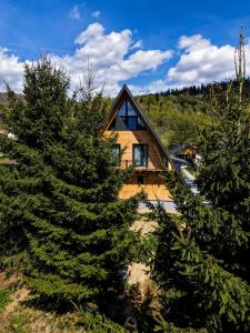 a house with a tree in front of it at Le Cabane Retreat in Lereşti