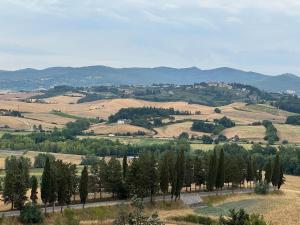 a view of a field with trees and mountains at Bartahouse in Peccioli