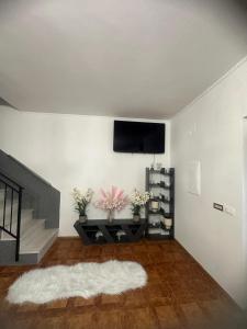 a living room with a flat screen tv on a white wall at Villa Julieta in Scalea