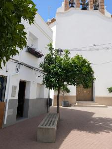a bench in front of a building with a tree at Ca TONI in Daimuz
