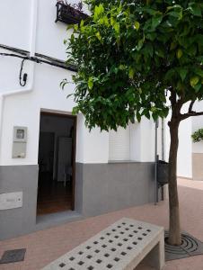 a tree and a bench next to a building at Ca TONI in Daimuz