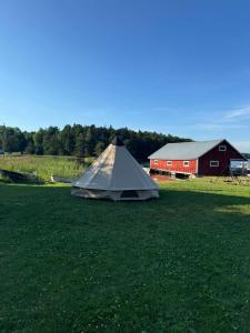 a tent in a field next to a red barn at Jennys tent in Saltvik