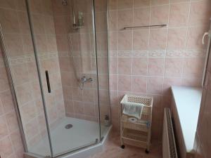 a shower with a glass door in a bathroom at Gintagnė in Aleksandrija +21 photos