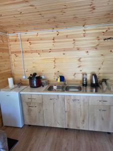 a kitchen with a sink and a wooden wall at Visi Cabins Bogë in Bogë