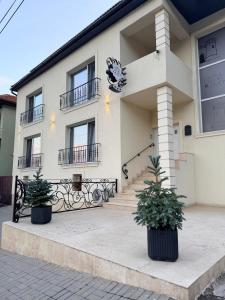 a building with two potted plants in front of it at Kaleh Boutique Villa in Orşova