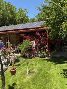 a garden with red roses and a pavilion at Yvette B&B in Garni