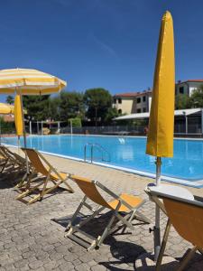 a row of chairs and umbrellas next to a swimming pool at Residence di Raul in Porto Recanati
