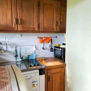 a kitchen with wooden cabinets and a counter top at Studio cosy avec terrasse et barbecue à Cazaubon - 28 m² in Cazaubon
