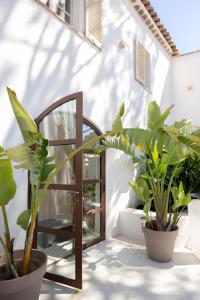 a room with plants in pots and a mirror at Auberge TAO in Biot