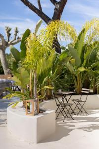 a plant in a white planter with chairs and trees at Auberge TAO in Biot +36 photos