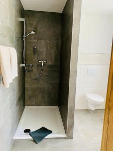 a bathroom with a shower and a toilet at Wöllbacher Tor in Wetzlar