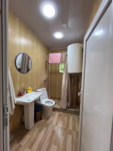 a bathroom with a toilet and a sink and a mirror at Ela in Ushguli +101 photos