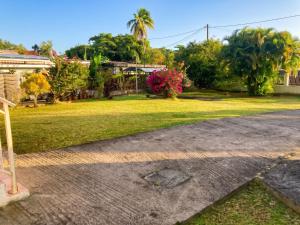 a driveway with a yard and a house at Appartement 3 chambres à Ducos in Ducos
