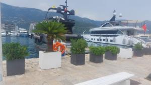 a large boat is docked at a marina with plants at Medin BD in Budva