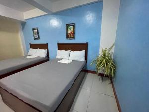 two beds in a room with blue walls and a plant at Mayon Lodging House in Legazpi
