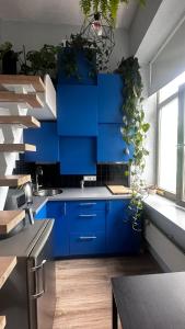 a kitchen with blue cabinets and potted plants at Cozy Loft Studio, one open space, in great location in Vilnius +17 photos