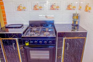 a kitchen with a blue stove in a kitchen at 7Palms Executive Lodges in Ndola