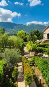 a garden with bushes and trees and a house at IL PICCOLO PARADISO in San Massimo