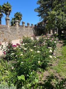 a garden of flowers in front of a stone wall at Antica serra in Buttrio