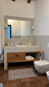 a bathroom with a sink and a toilet and a mirror at Antica serra in Buttrio