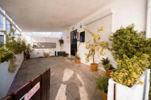 a courtyard with potted plants in a building at Loca Centre Suites in Bodrum City