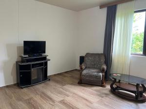 a living room with a chair and a television at Sea Breeze House Ureki in Ozurgetʼi