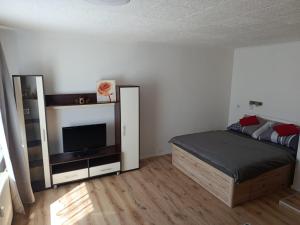 a bedroom with a bed and a flat screen tv at Apartmán Comfort in Trenčín