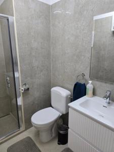 a bathroom with a toilet and a sink and a shower at Jardin Botanique in Brussels +4 photos